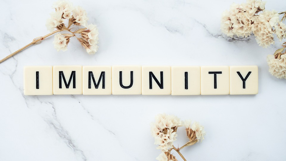 immunité, booster système immunitaire, se soigner naturellement en hiver, soigner la grippe naturellement, soulager le rhume naturellement, soulager laryngite naturellement, soigner ses enfants en hiver naturellement
