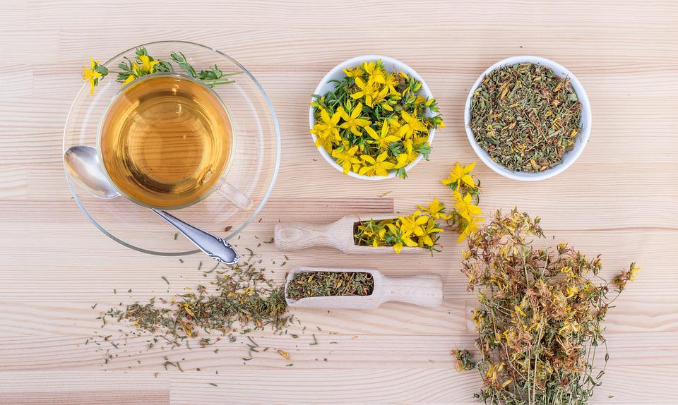 Phytologie, les 10 techniques de naturopathie, Phytothérapie et santé, gemmotherapie, fleurs de Bach, aromatherapie, hydrolatherapie , naturopathie familiale, naturopédiatrie