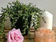 gommage fait maison,, recette beauté, faire ses cosmétiques soi même, diy gommage,