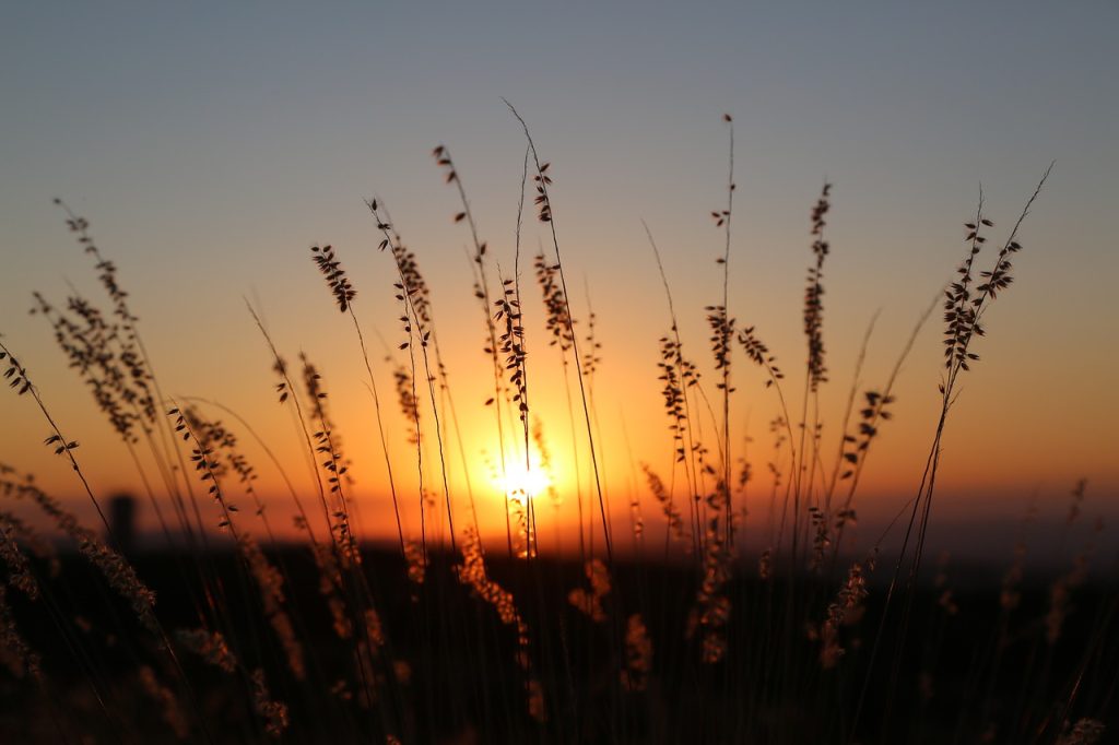gratitude sur la beauté du coucher du soleil