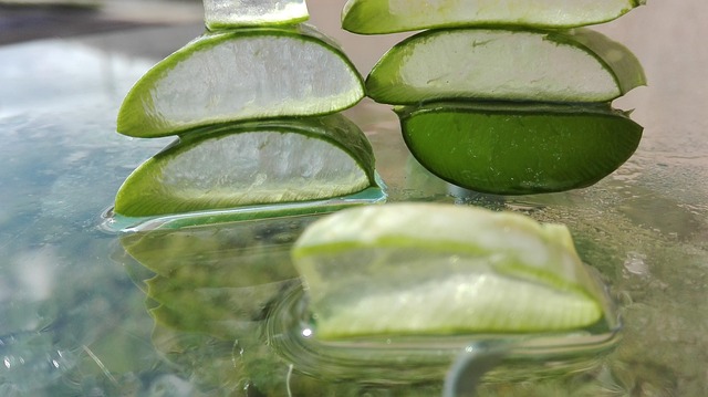 prendre soin de sa peau en été avec de l'aloe vera