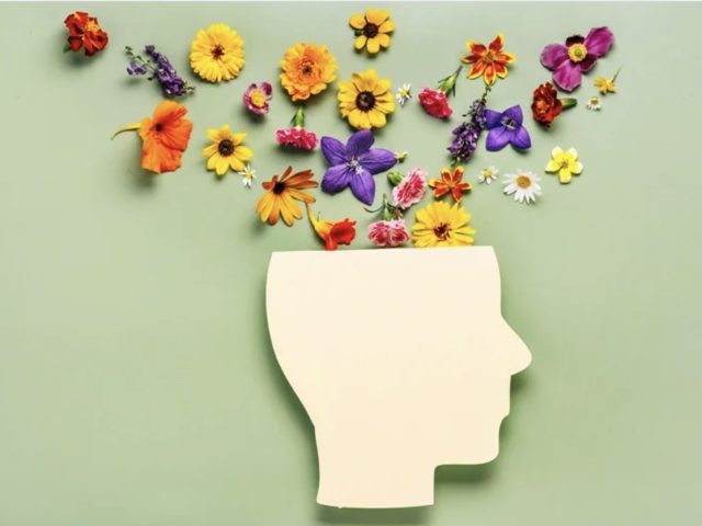 charge mentale fleurs de Bach
