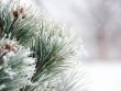 Froid naturopathie
